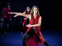 Scènes de danse  Par les élèves de l'option Art Danse du Lycée Jean Monnet de Crepy en Valois
