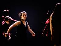 Scènes de danse  Par les élèves de l'option Art Danse du Lycée Jean Monnet de Crepy en Valois